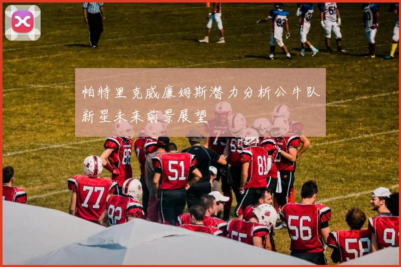 帕特里克威廉姆斯潜力分析公牛队新星未来前景展望