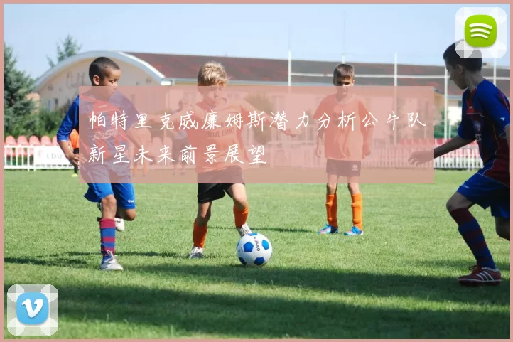 帕特里克威廉姆斯潜力分析公牛队新星未来前景展望